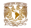 universidadam